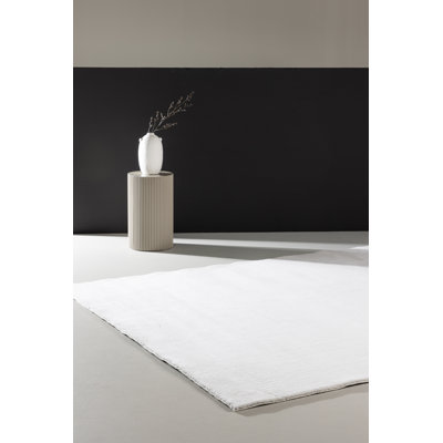Anuj 240cm X 350cm Area Rug