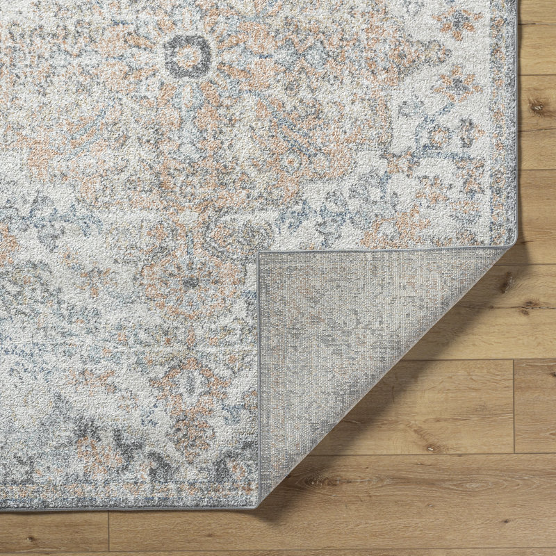 Reagyn Rectangle Oriental Washable Area Rug, Rectangle 60 x 90 cm