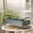 Galvanized Metal Planter, Vintage Table Organizer