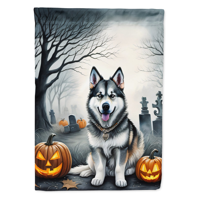 Double Sided 40'' H x 28'' W Polyester Halloween House Flag