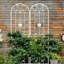 Treillis polyvalent antirouille pour les plantes d'extérieur, rehaussant la beauté du jardin-801664087-801664086