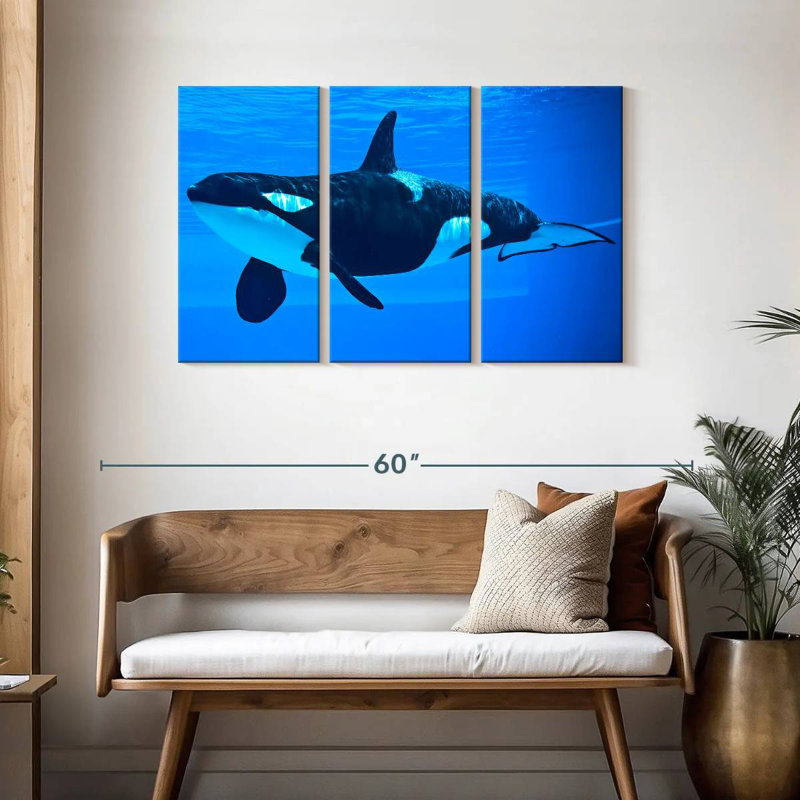 Brampt Friendly Killer Whale, 28" H x 45" W