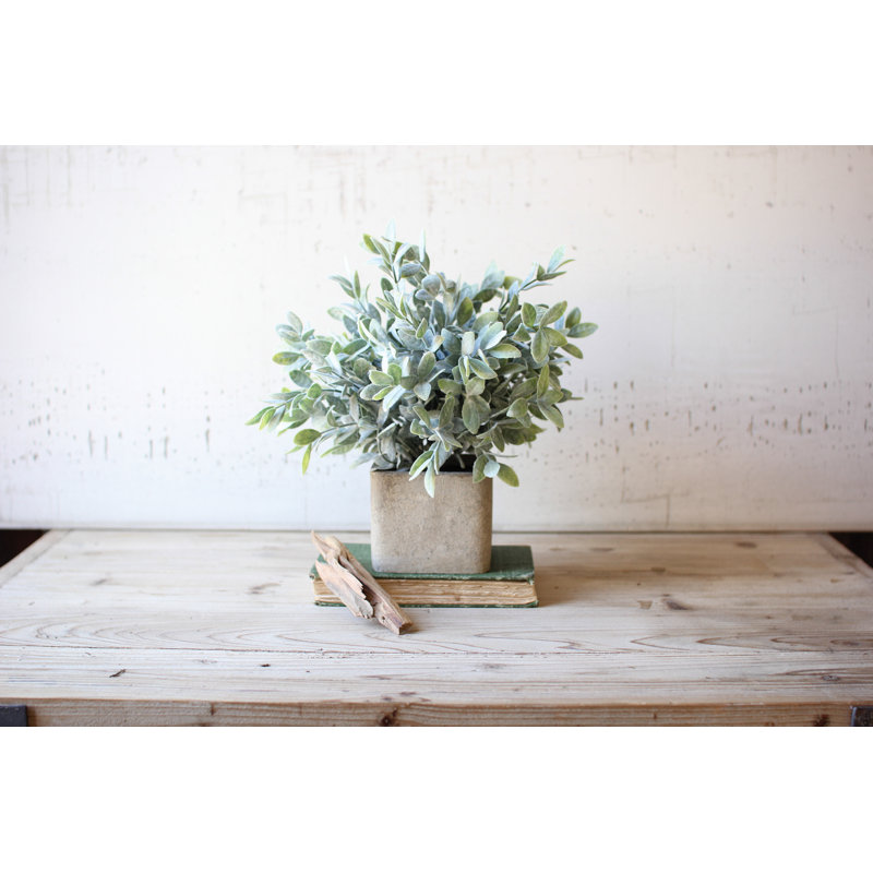 12.5'' Faux Herbs Plant in Concrete Pot