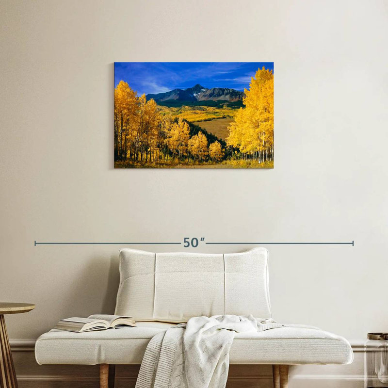 Alvord Autumnal Aspen Trees, 20" H x 30" W