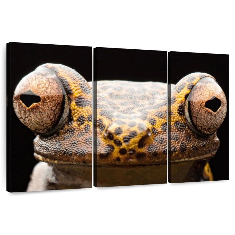 Brampt Tree Frog Eyes, 20" H x 33" W