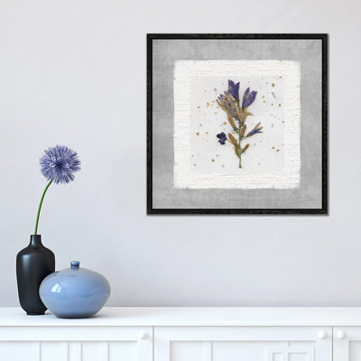 Beauty Preserved I by Carol Robinson - Print on Canvas