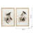 S/2 Bird Framed Print