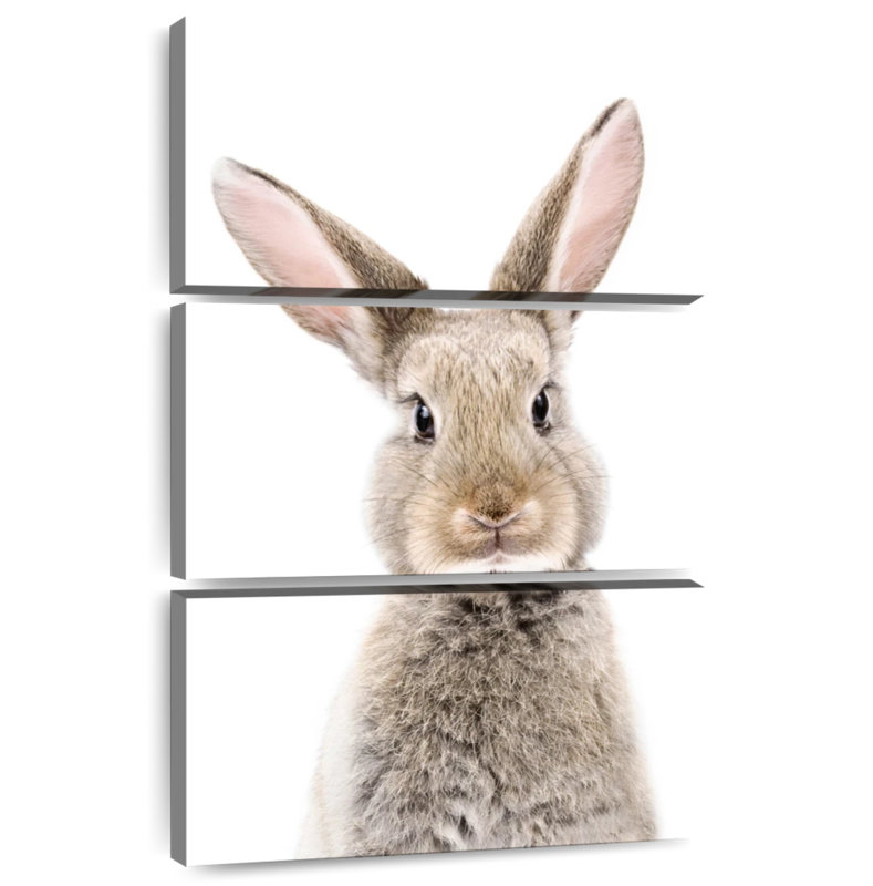 Brampt Baby Bunny, 57" H x 36" W