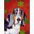 Basset hound 2