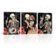 3 Piece Wrapped Canvas Wall Art