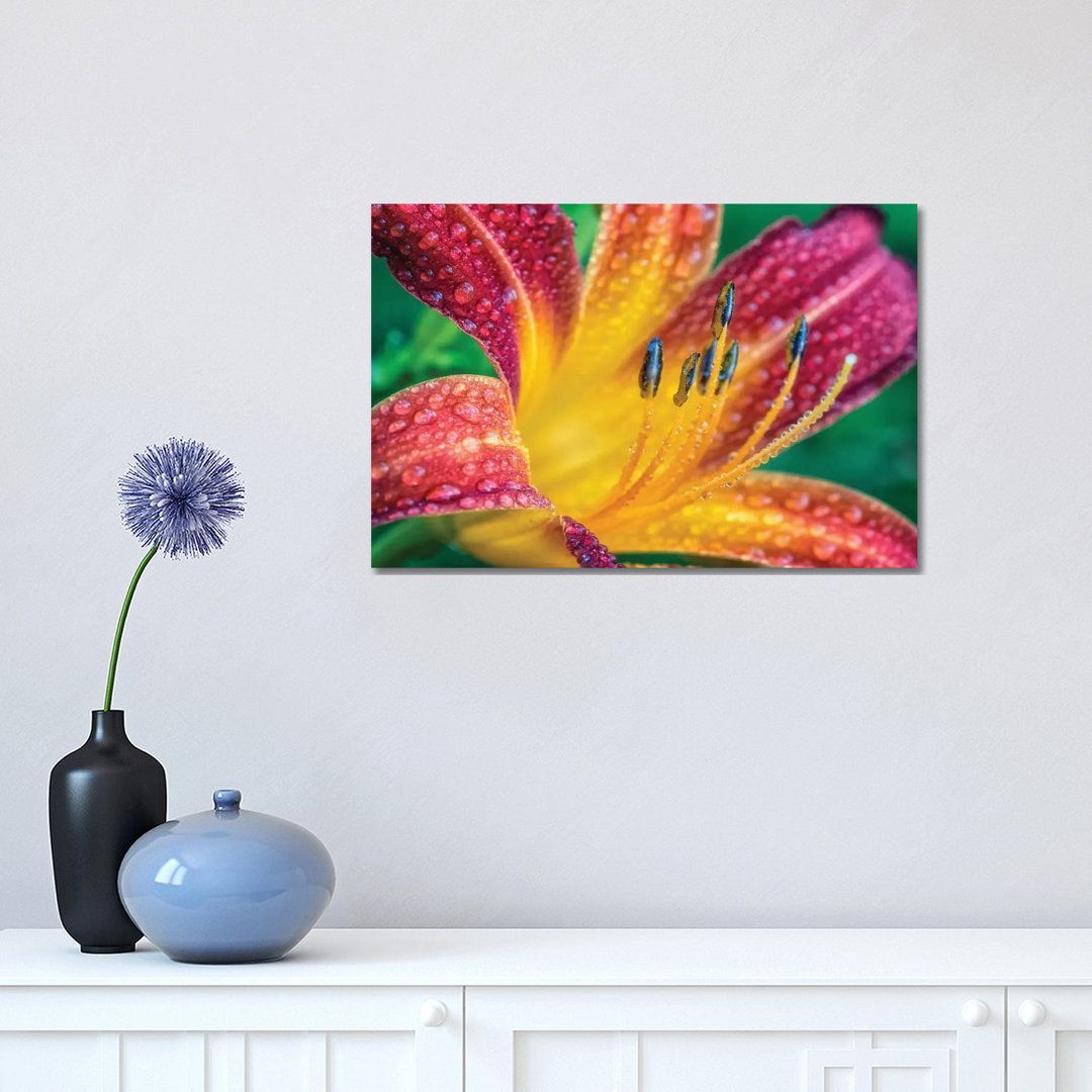 Close Up Of A Flower by Glauco Meneghelli - Wrapped Canvas Print