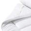 Botalla 2.5cm Mattress Topper-1062022235