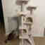 Customer photo 3 of 3