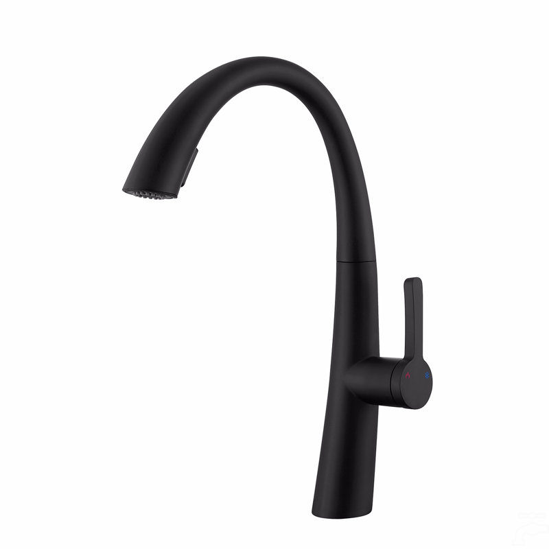 Robinet de cuisine escamotable en acier inoxydable, Noir mat