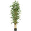 Bambou en soie-784335804