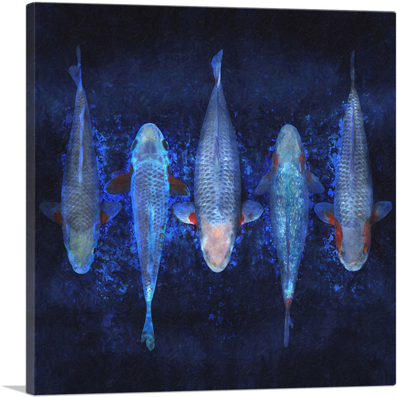 «Asagi Koi Carp Fish», Japon, reproduction d'art sur toile tendue, H 18 po x l 18 po x 1,5 po