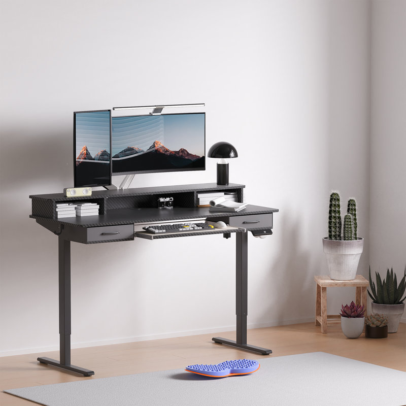 55" Inches Electric Standing Desk with Keyboard Tray, Height Adjustable Stand up Desk with 2 Drawers, Ergonomic Sit to Stand Desk with Storage Monitor Stand, Computer Table, Black