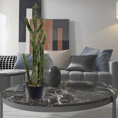 Artificial Green Cactus, Black Plastic Planters Pot