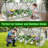 Portable Mini Greenhouse-111160147