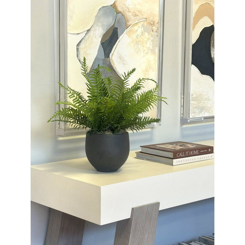 Outdoor UV-Rated Fern in Fiberstone Pot, Black