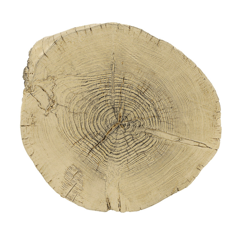 Table de style moderne en béton brun naturel - Idéale pour la décoration intérieure