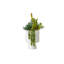 Succulents Arrangement in White Cylinder Urn