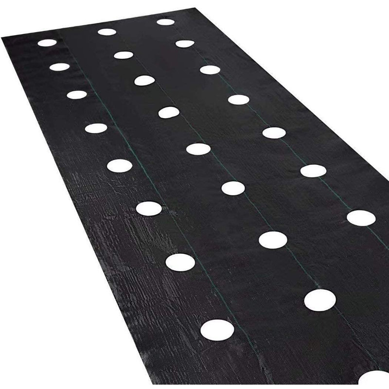 Weed Barrier With 6In. Dia,2 Rows Planting Hole,3'X12', 144" H x 48" W x 0.25" D