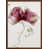 Brown Framed