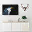 Pied Heron - Wrapped Canvas-56632253
