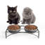 Ceramic Raised Elevate Feeder-50626156
