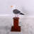 Seagull on Post Life Size Statue