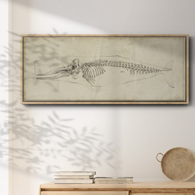 " Whale Study II "
