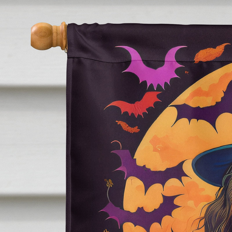 Jalesa Double Sided Polyester Halloween Garden Flag, 40" x 28"