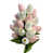 Blanc / Rose pâle