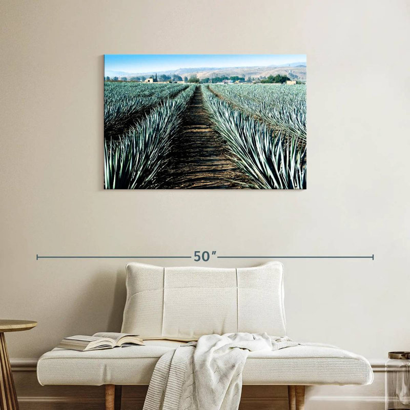 Agave Alvord Farm, H 24 po x l 36 po