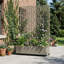 Planter-980162687-980162681