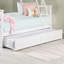 Brizeyda Trundle Unit-19020327