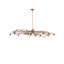 Bay 14 - Light Chandelier