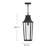 Hinkley Georgetown Hanging Lantern-108493386