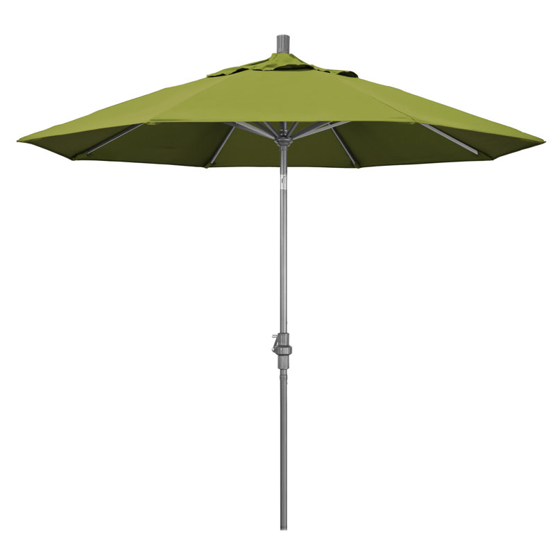 Parasol 9" Market, Performance kiwi