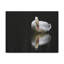 Art mural sur toile avec cygne blanc-1560242992