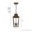 Hunter Spring Cove Outdoor 3 Light Large 17 Inch Pendant-118320317
