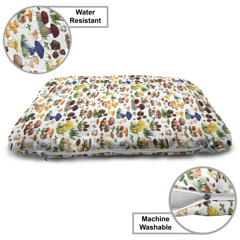 Multicolore 24 po x 39 po Ambesonne