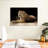 Brampt Lounging Puma-108690411