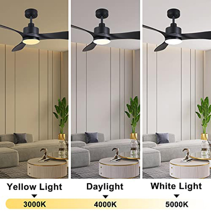 Ventilateurs de plafond Maeta 52 po avec lumières DEL et télécommande Maeta, Noir, noir, noir, noir
