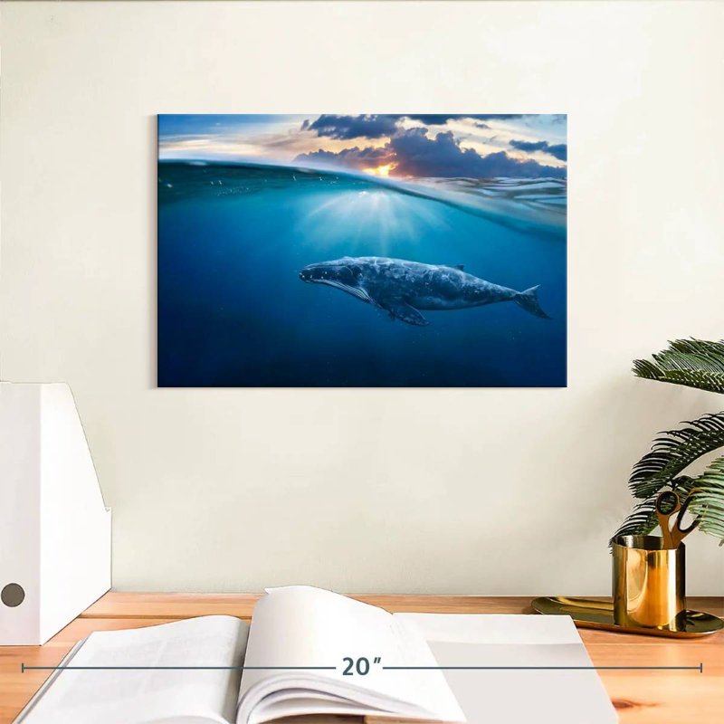 Aletra Whale Underwater, 8" H x 12" W