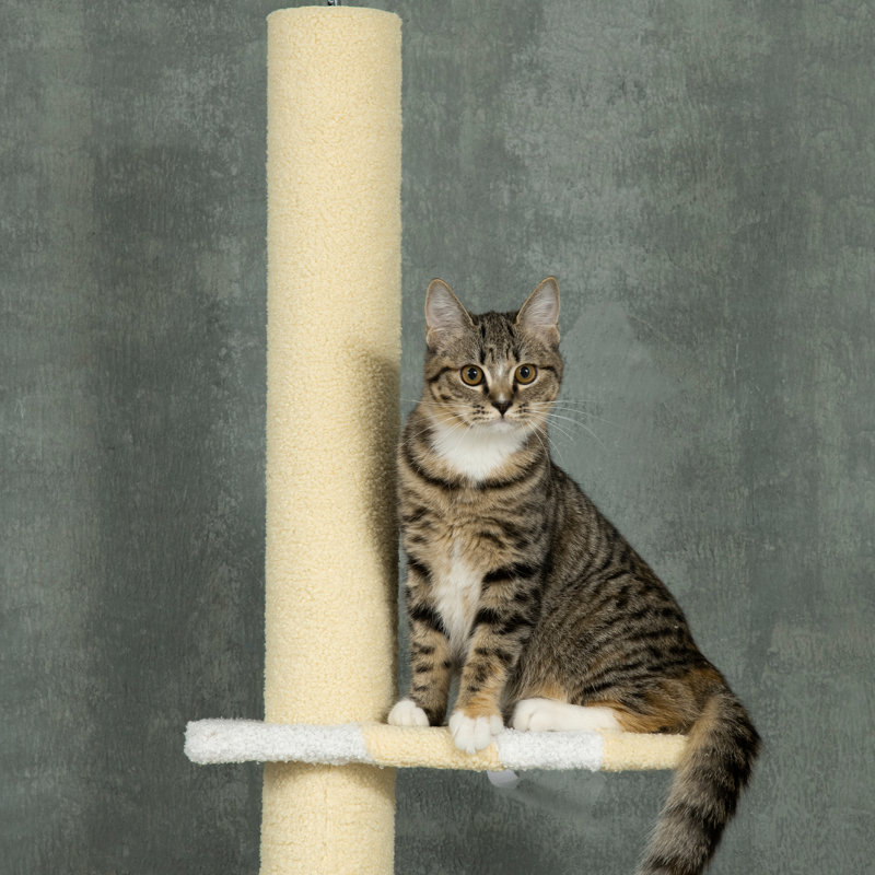 Tour pour chat, du sol au plafond, plateformes réglables de 87 à 103 pouces, poteaux à griffer, jaune pour chats 4 gigognes,
