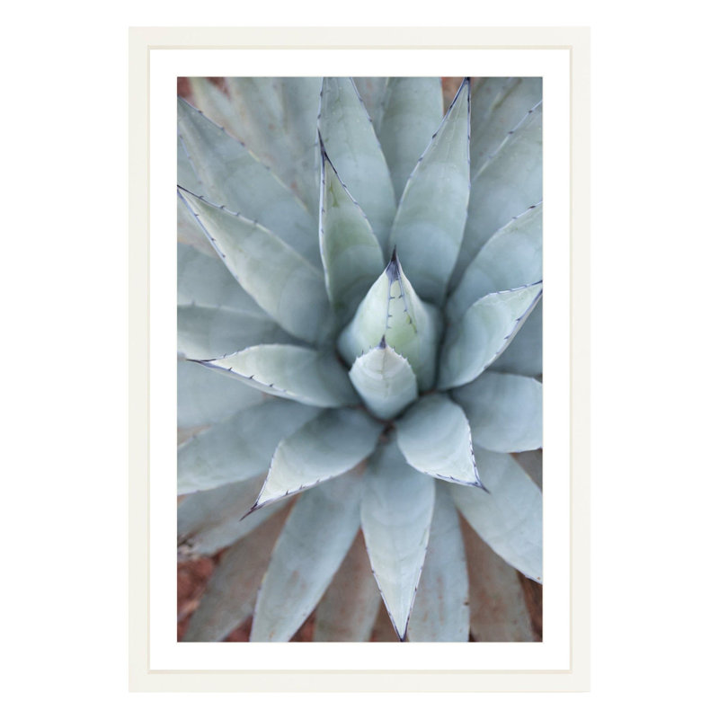 Plants & Flowers Print, White, 36" H x 24" W x 1.88" D