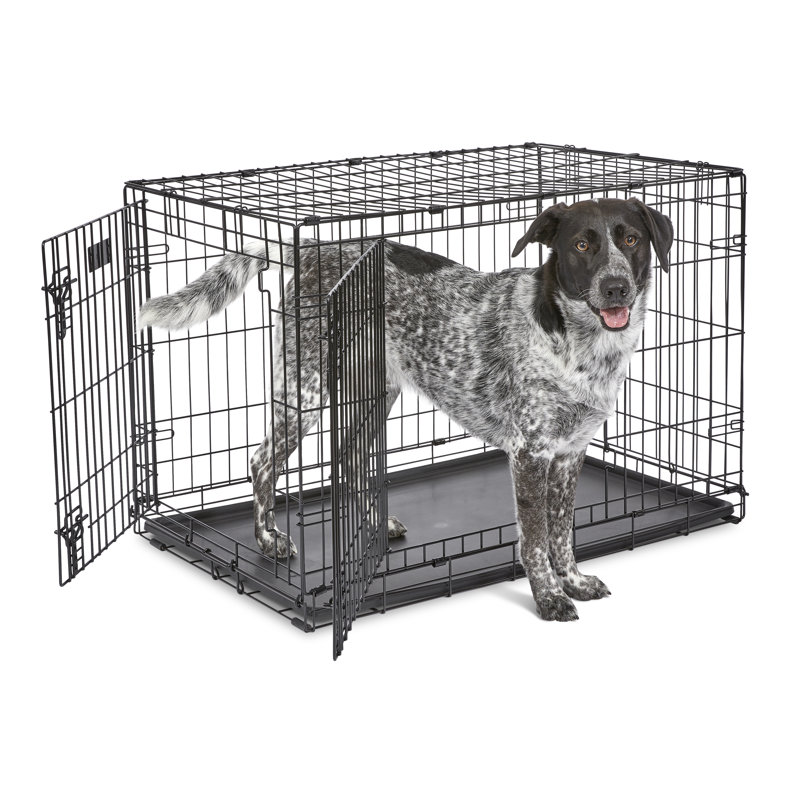 Black Double Door Folding Metal Dog Crate, 36"