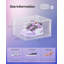 6 Pair Shoe Storage Box